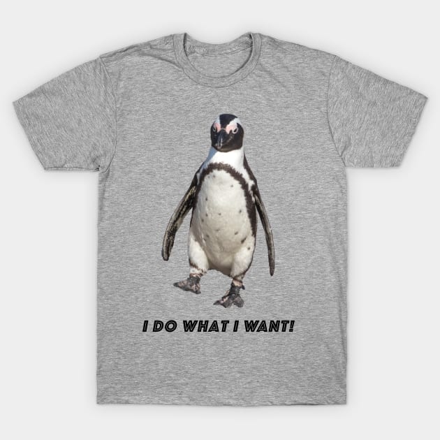 I do what I want T-Shirt by Naturelovers